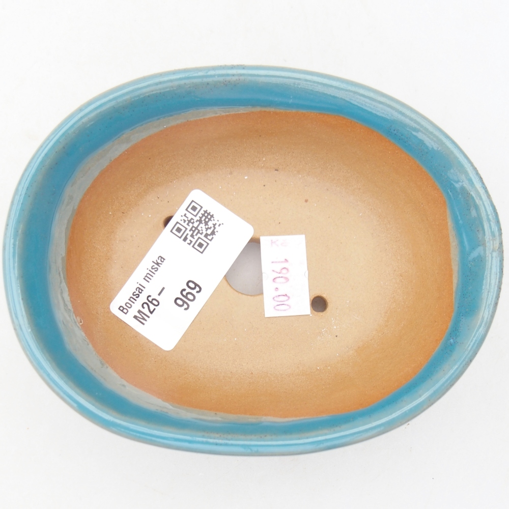 Ciotola bonsai in ceramica 11 x 8,5 x 4 cm, colore blu