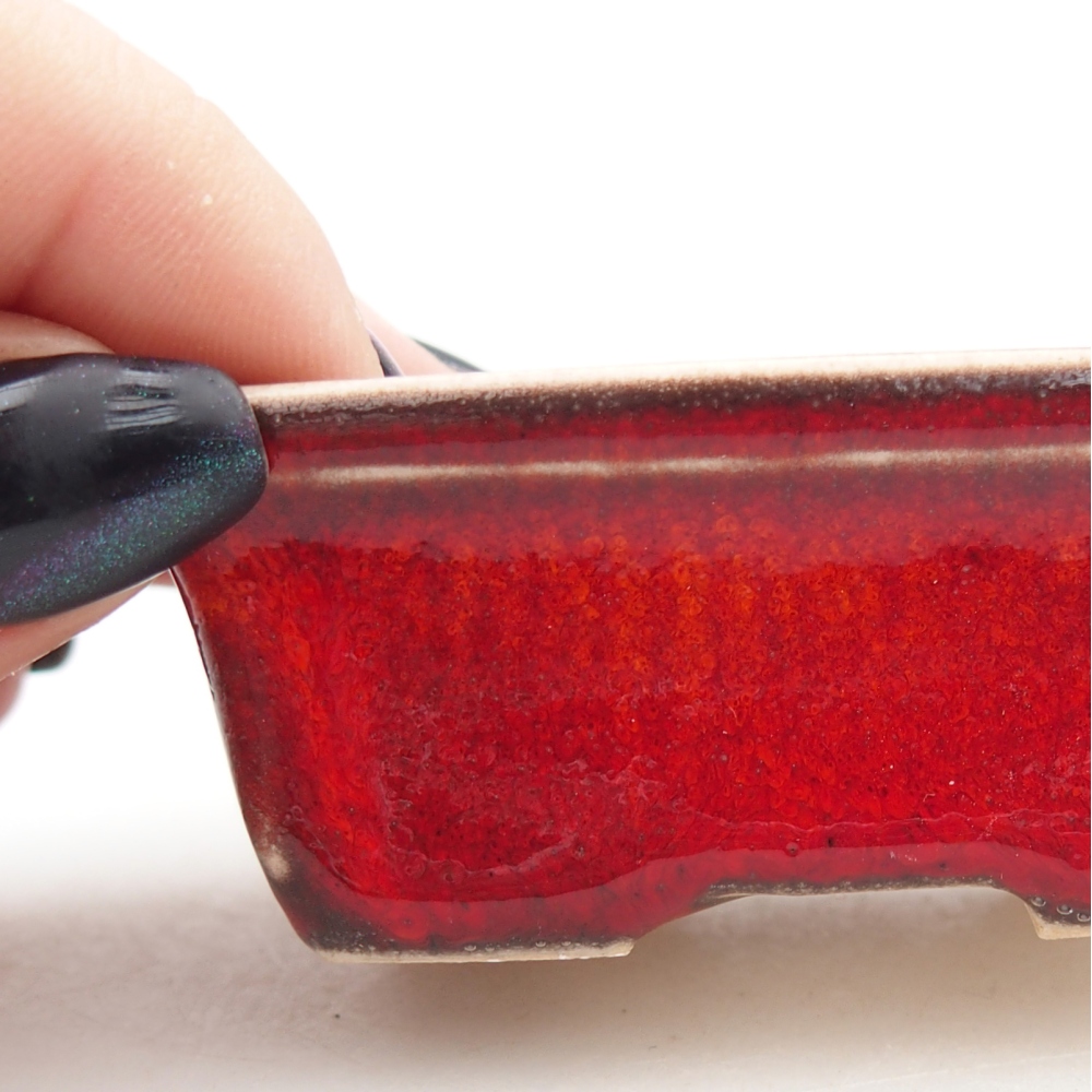 Mini bonsai 6,5 x 4,5 x 2,5 cm, colore rosso