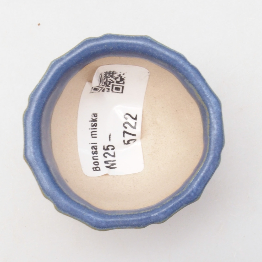 Ciotola per mini bonsai 5 x 5 x 3 cm, blu