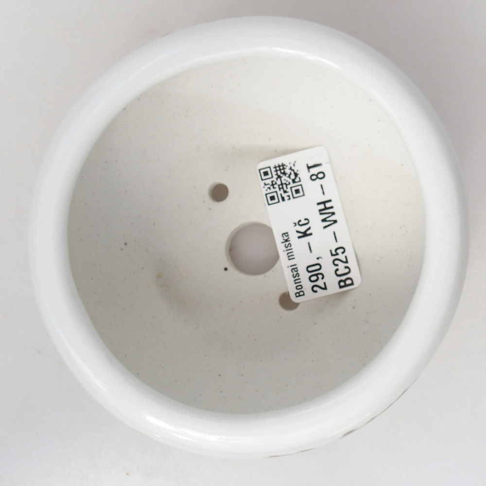 Ciotola per bonsai in ceramica 10 x 10 x 5 cm, colore bianco