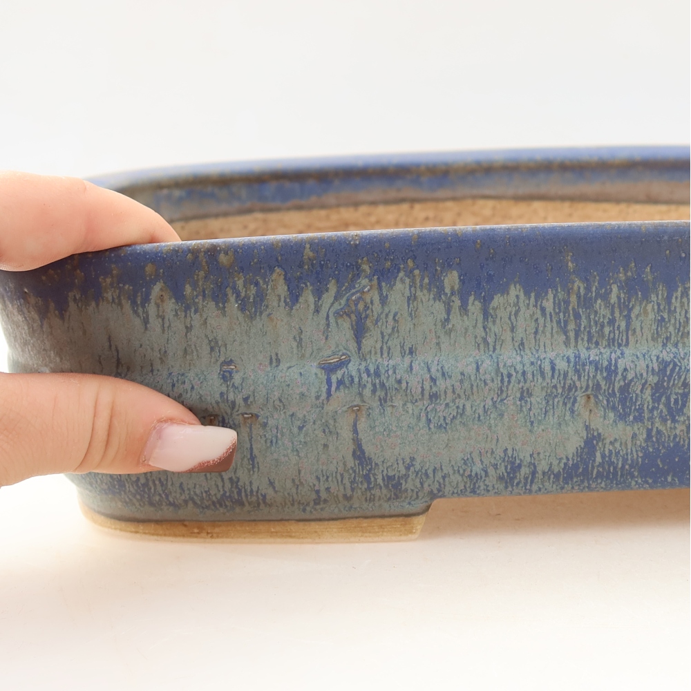 Ciotola bonsai in ceramica 29,5 x 24,5 x 7,5 cm, colore blu