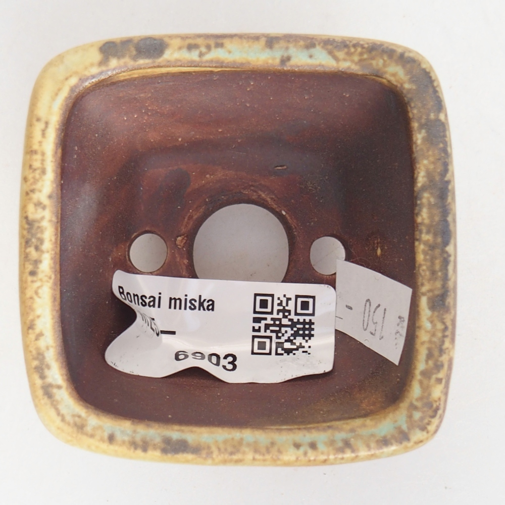 Ciotola per bonsai in ceramica 6 x 6 x 4 cm, verde