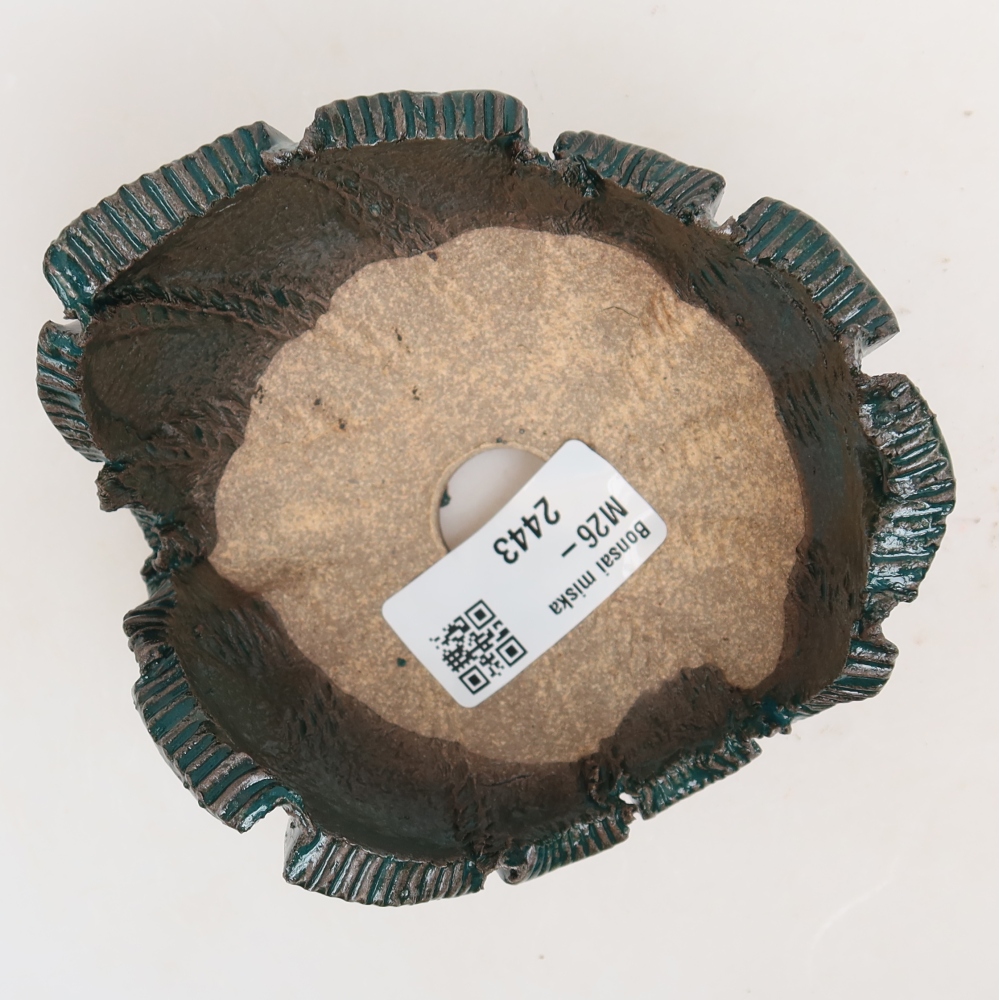Guscio in ceramica  10 x 10 x 6 cm, colore verde