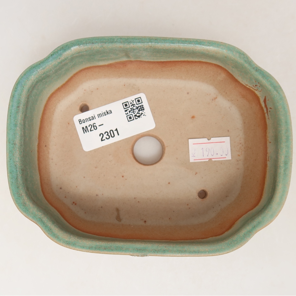 Vaso da bonsai in ceramica 12,5 x 10 x 4,5 cm, colore verde