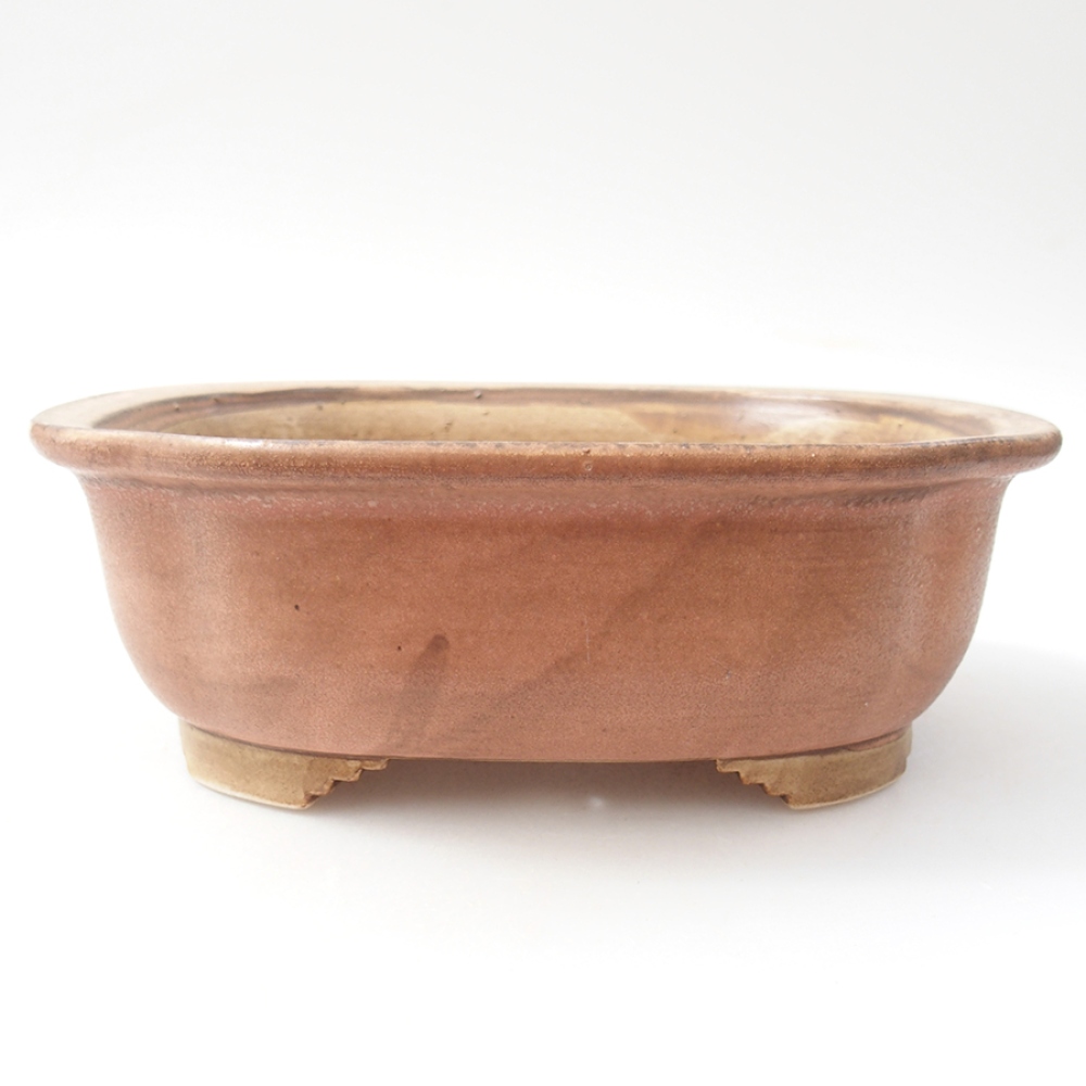 Ciotola bonsai in ceramica 20 x 16 x 7 cm, rosa