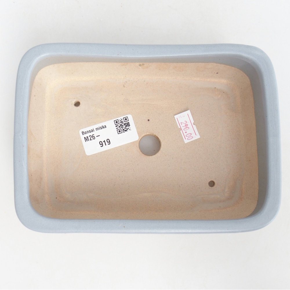 Ciotola bonsai in ceramica 16,5 x 12 x 5,5 cm, colore blu