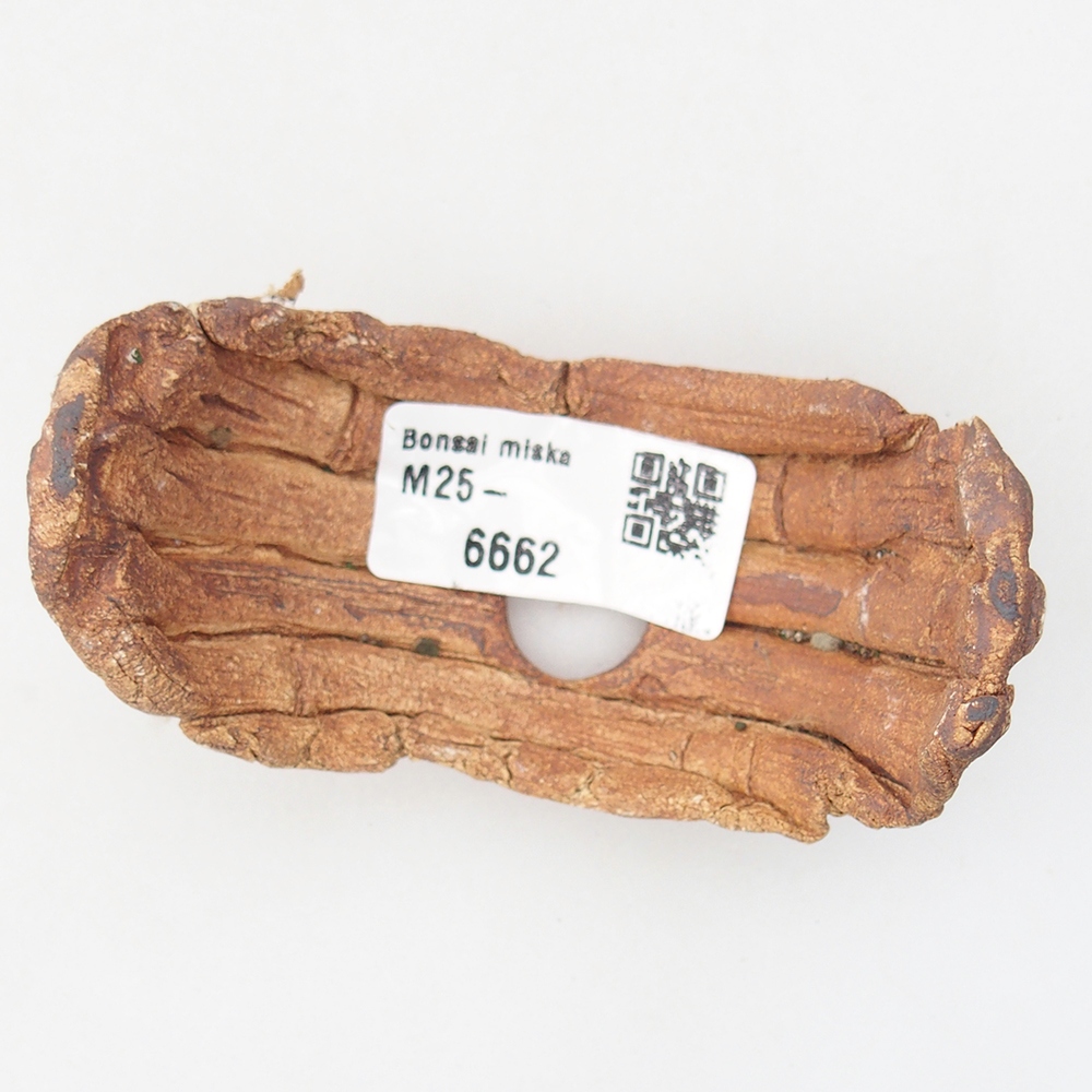 Conchiglia in ceramica 9 x 4,5 x 4,5 cm , colore marrone