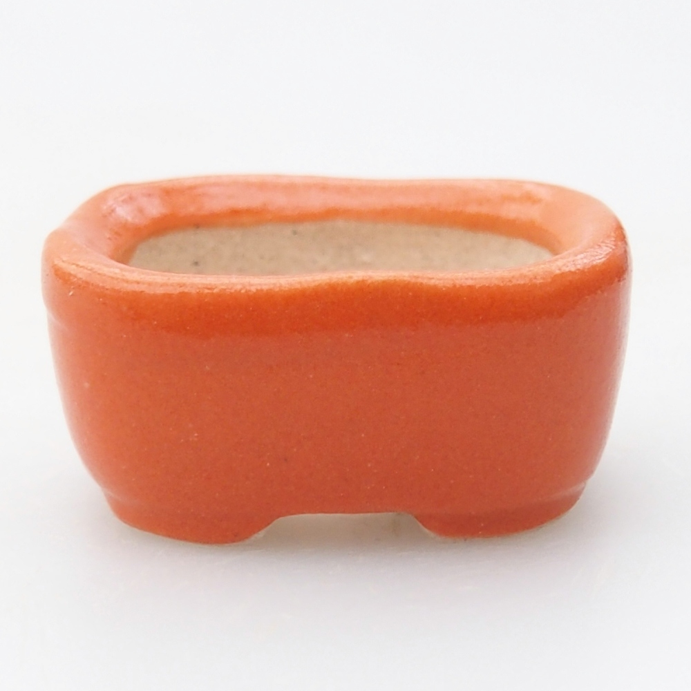 Mini bonsai 2,5 x 2,5 x 1 cm, arancione