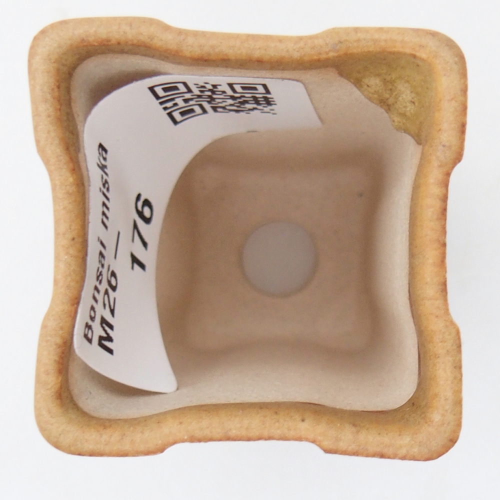 Mini bonsai 3,5 x 3,5 x 5,5 cm, marrone