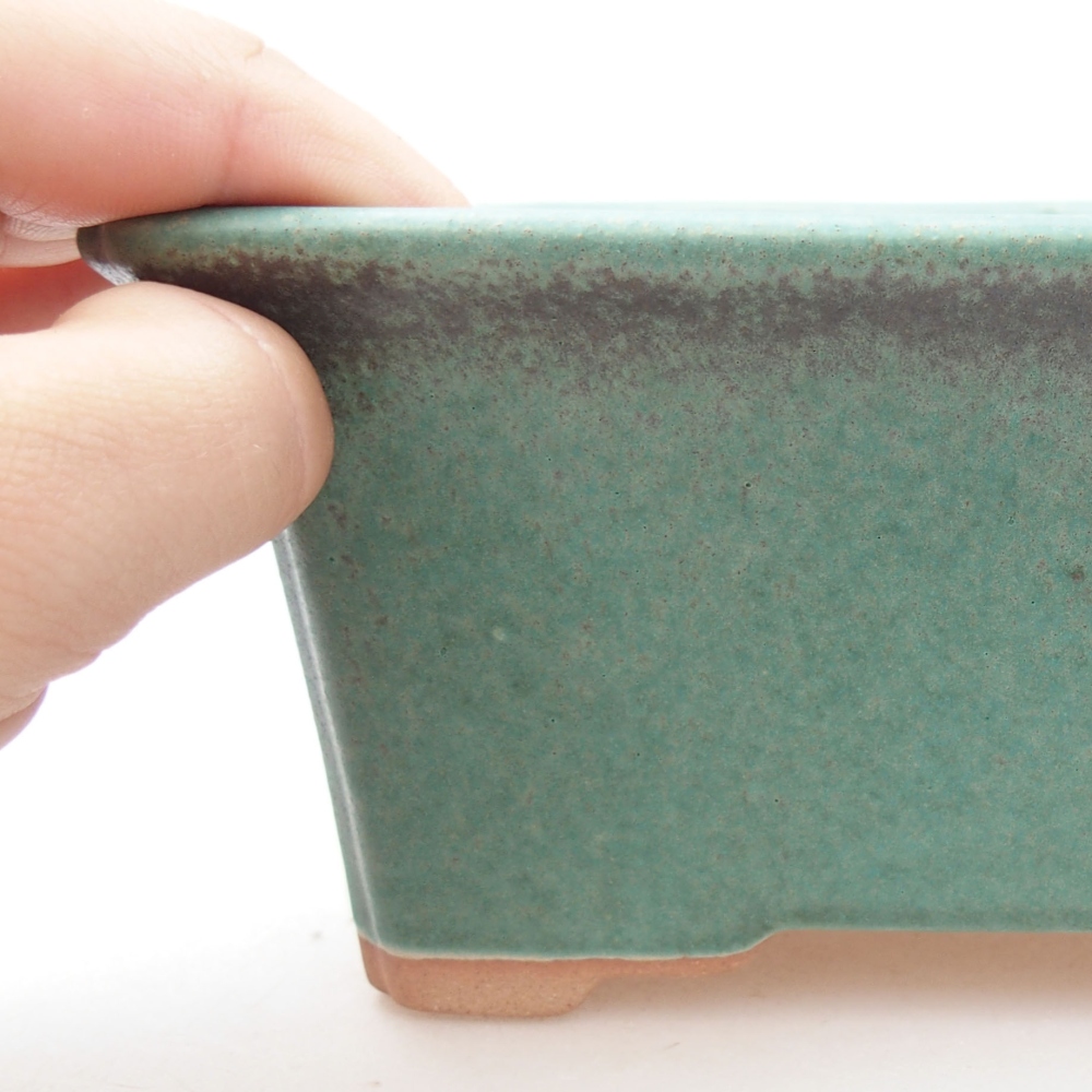 Ciotola bonsai in ceramica 22 x 17 x 5 cm, verde