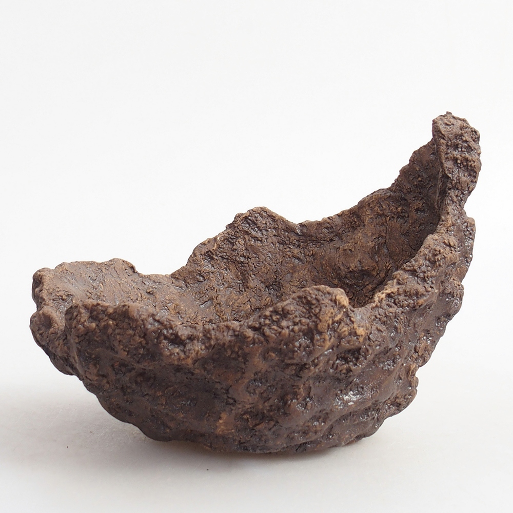 Conchiglia in ceramica 13 x 11 x 11 cm , colore marrone