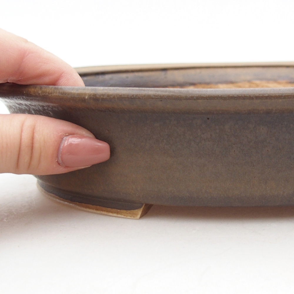 Ciotola per bonsai in ceramica 24 x 21 x 5 cm, marrone
