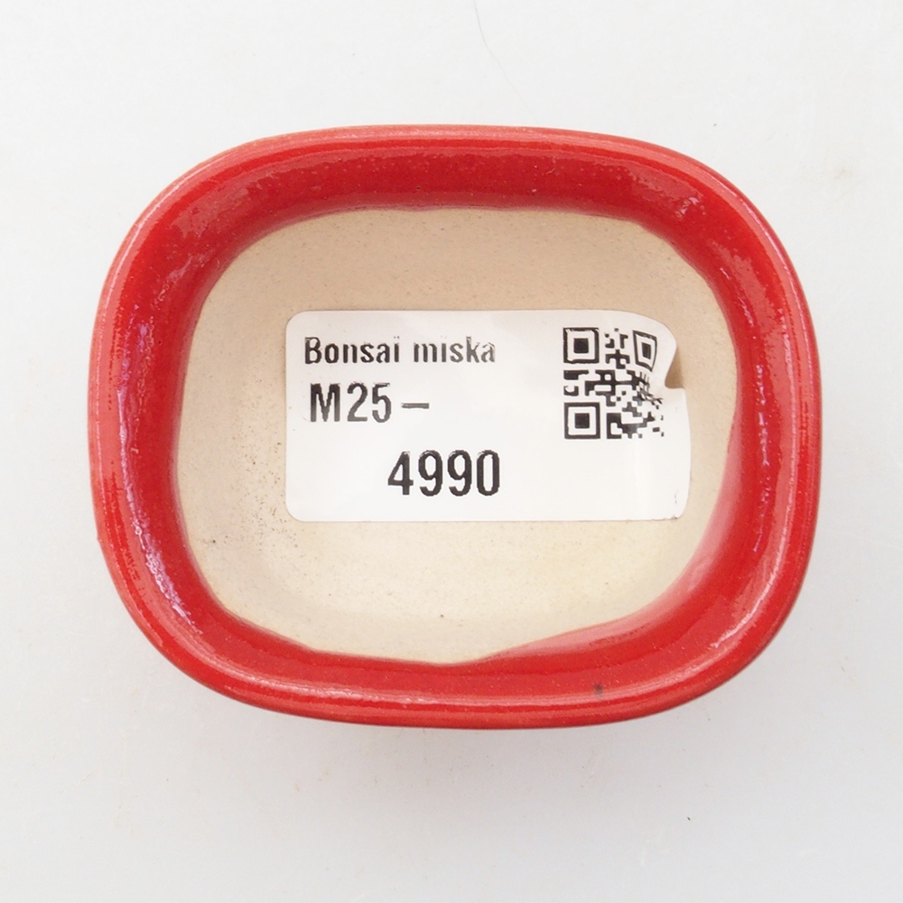Mini bonsai 6 x 4,5 x 3 cm, colore rosso