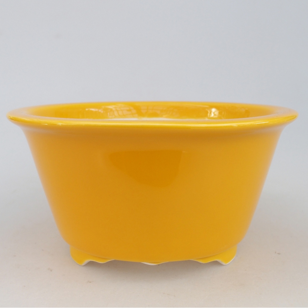 Ciotola bonsai in ceramica 16 x 16 x 8,5 cm, giallo