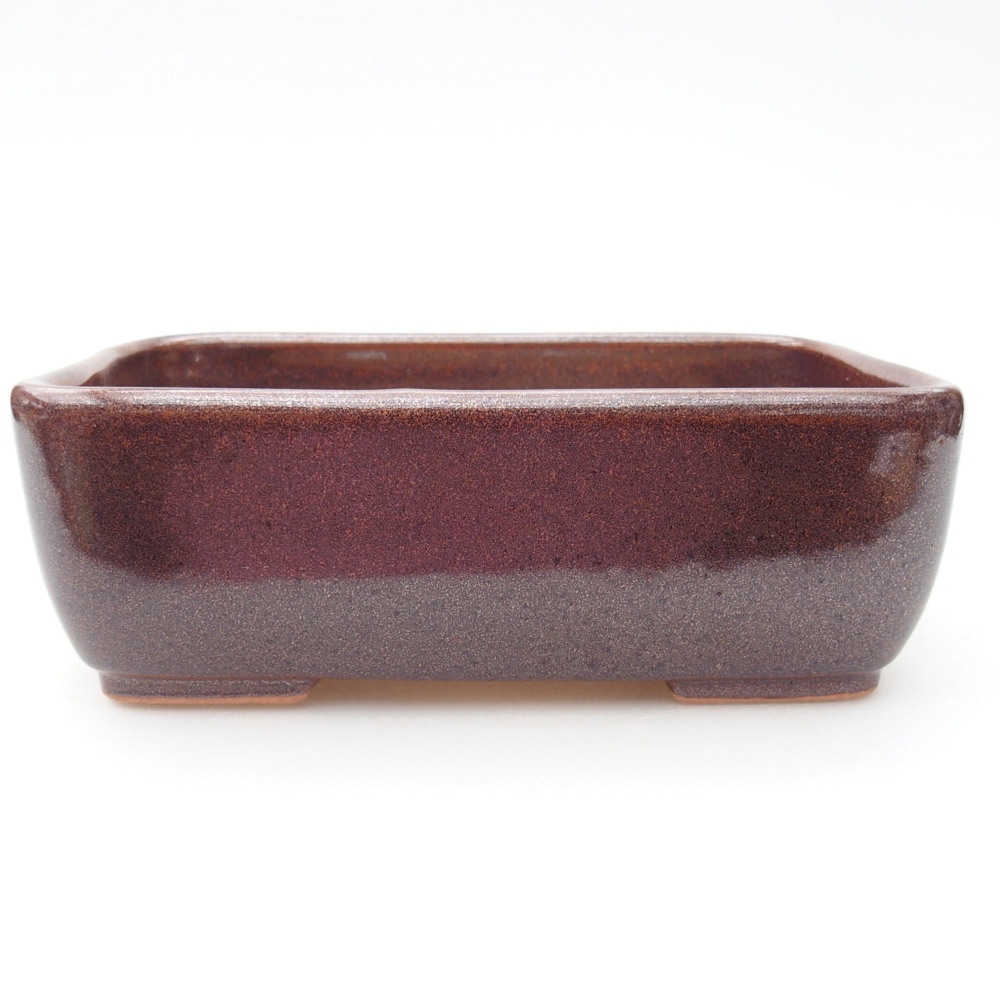 Ciotola bonsai in ceramica 16 x 11 x 5,5 cm, marrone
