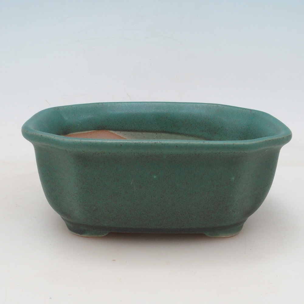 Ciotola per bonsai H31 - 14 x 12 x 5,5 cm - verde
