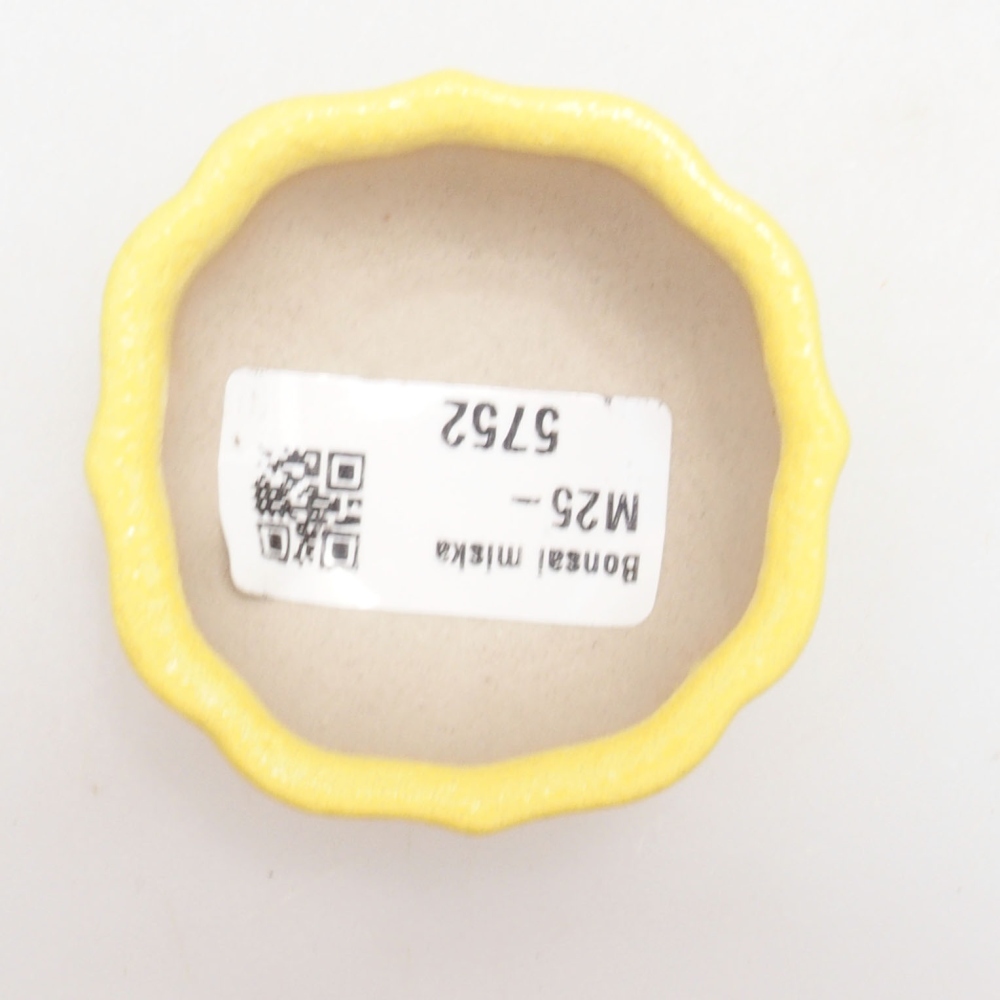 Ciotola bonsai in ceramica 5,5 x 5,5 x 3 cm, giallo