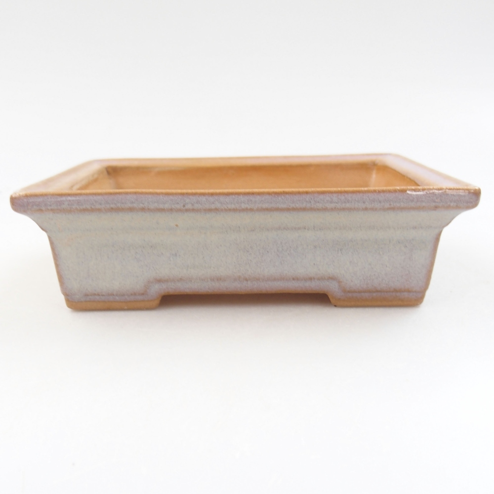 Ciotola bonsai in ceramica 22 x 17 x 5 cm, verde