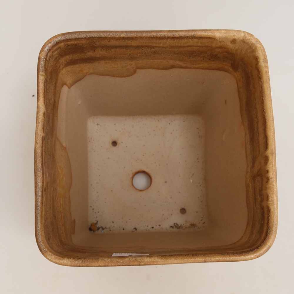 Vaso da bonsai in ceramica 13,5 x 13,5 x 15 cm, colore beige