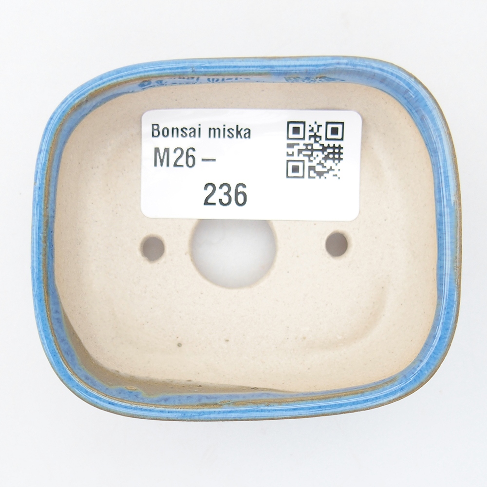 Mini bonsai 7 x 6 x 2,5 cm, colore blu