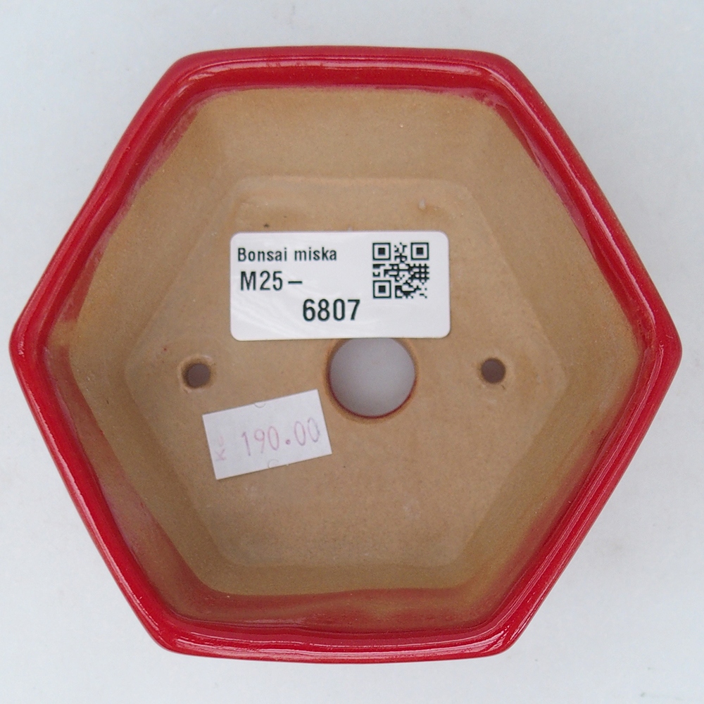Ciotola per bonsai in ceramica 10,5 x 9,5 x 5 cm, colore rosso