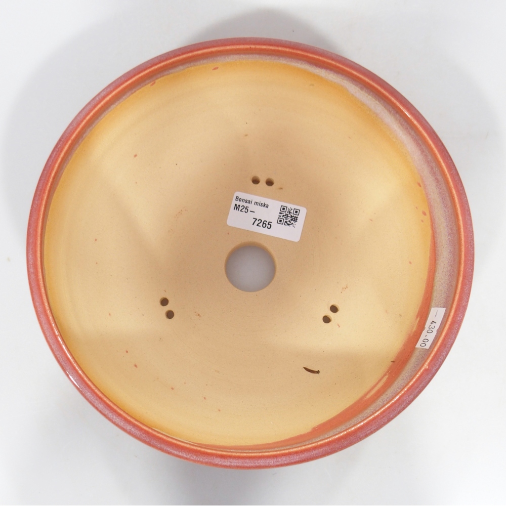 Ciotola per bonsai in ceramica 20,5 x 20,5 x 7 cm, colore rosso