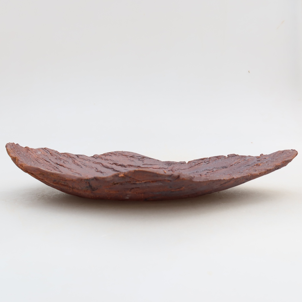 Conchiglia in ceramica  27 x 18,5 x 5 cm, colore marrone
