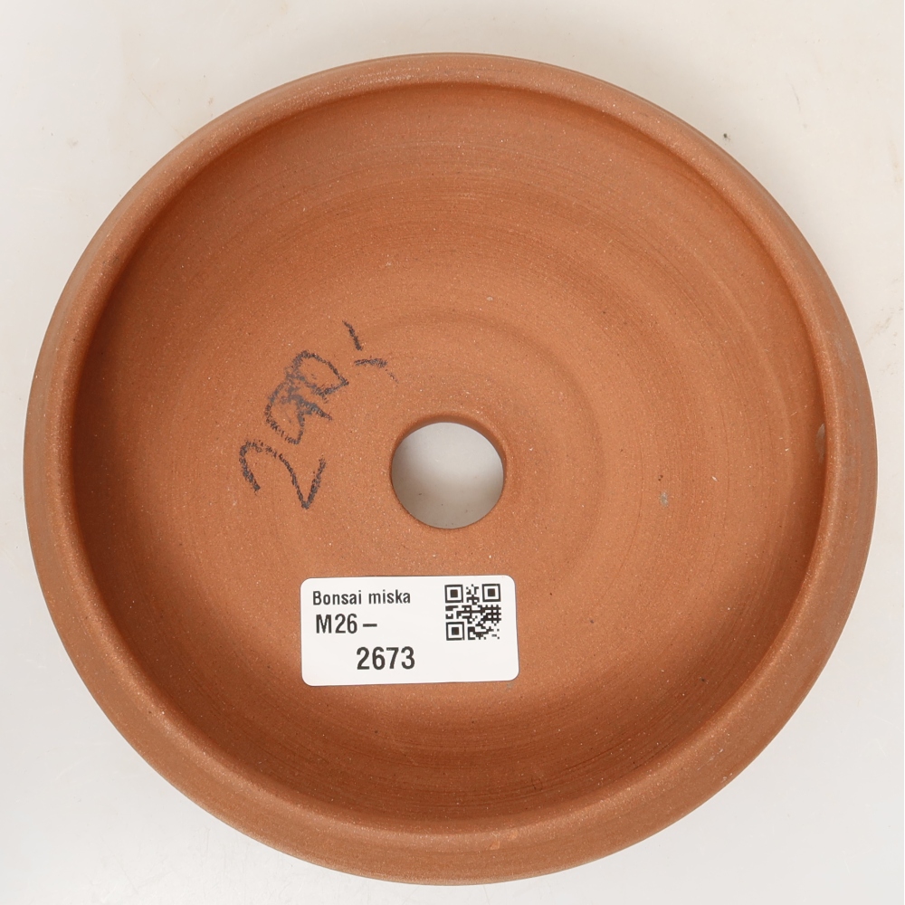 Conchiglia in ceramica  13 x 10,5 x 5,5 cm, colore grezzo