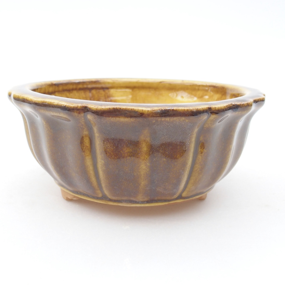 Ciotola bonsai in ceramica 11,5 x 11,5 x 5 cm, giallo