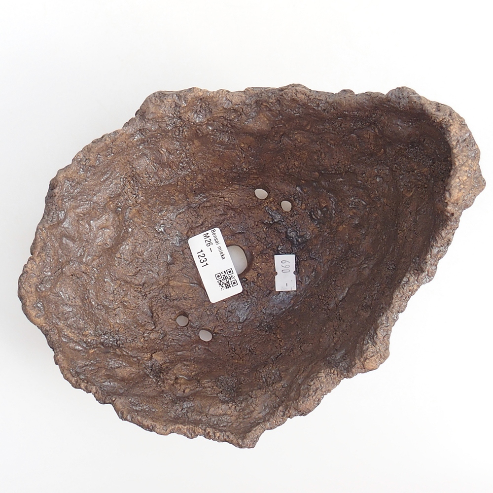 Conchiglia in ceramica 20 x 16 x 17 cm , colore marrone