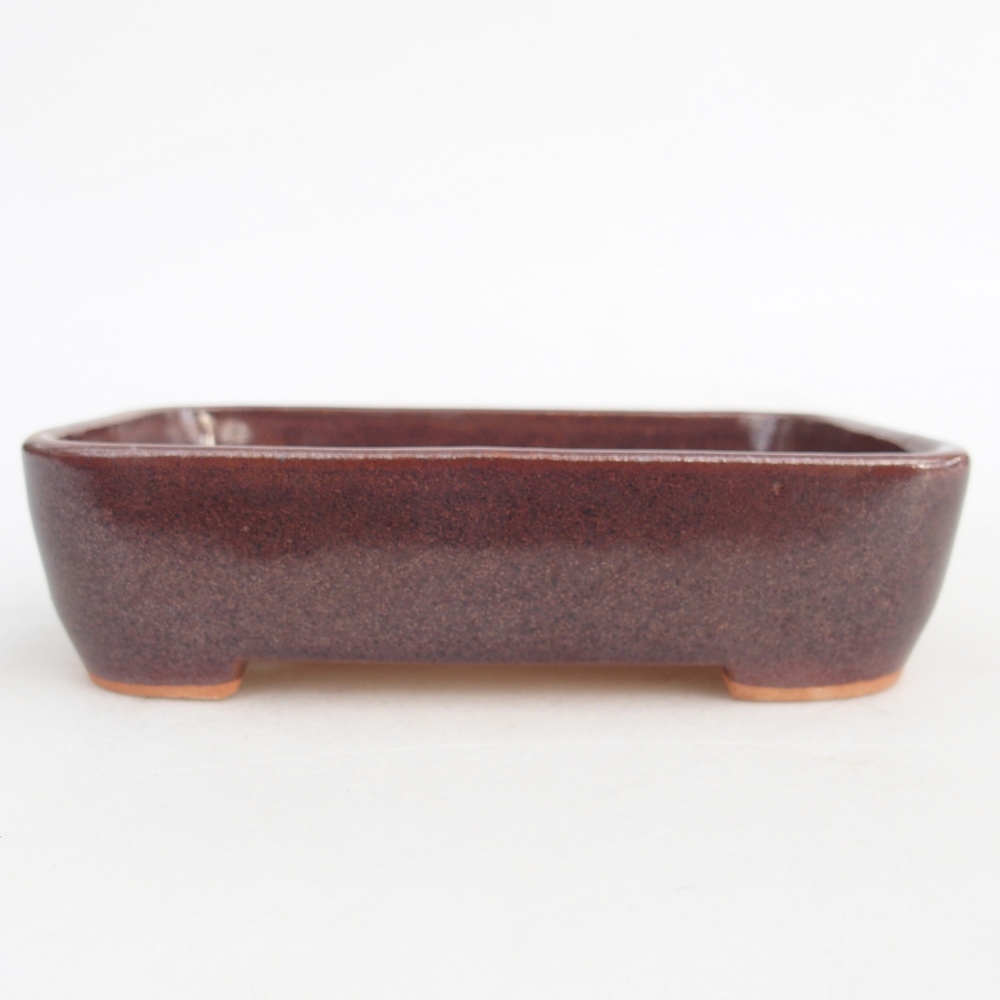 Ciotola per bonsai in ceramica 12,5 x 9,5 x 3,5 cm, marrone
