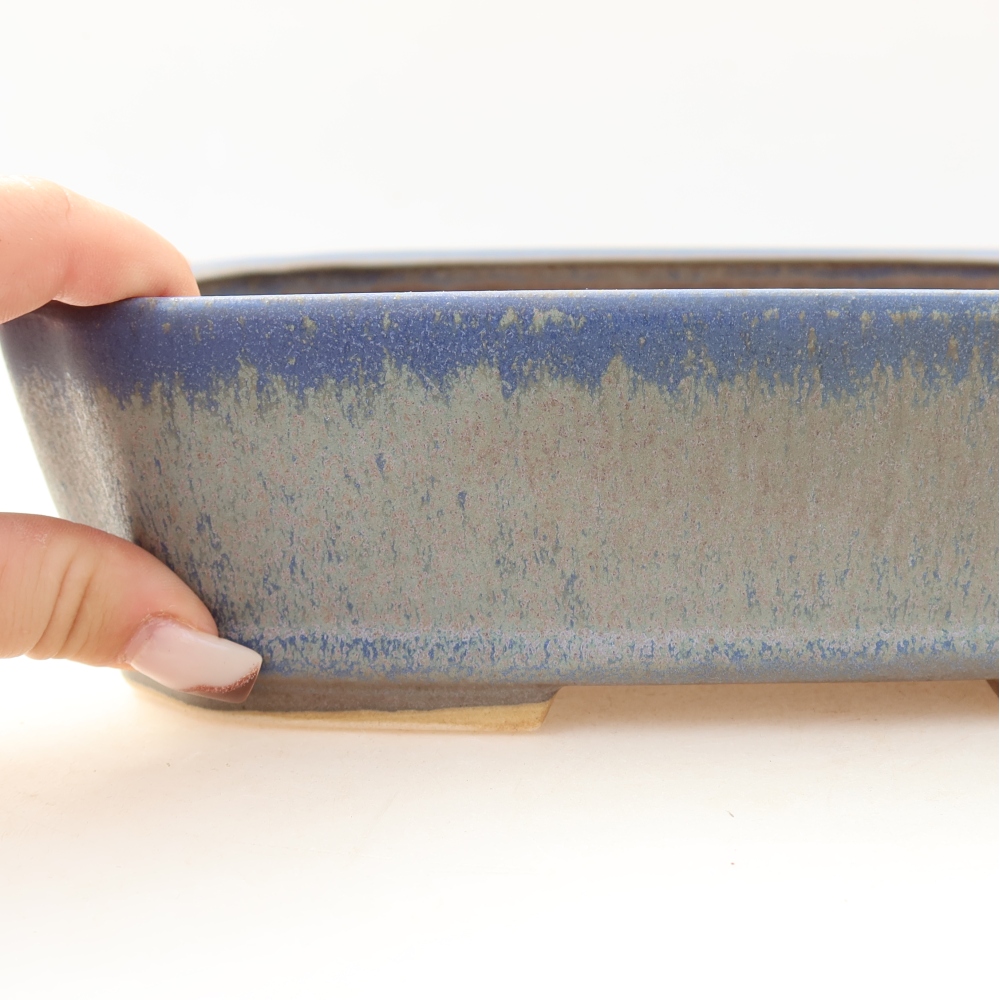 Vaso da bonsai in ceramica 25 x 21 x 6,5 cm, colore blu
