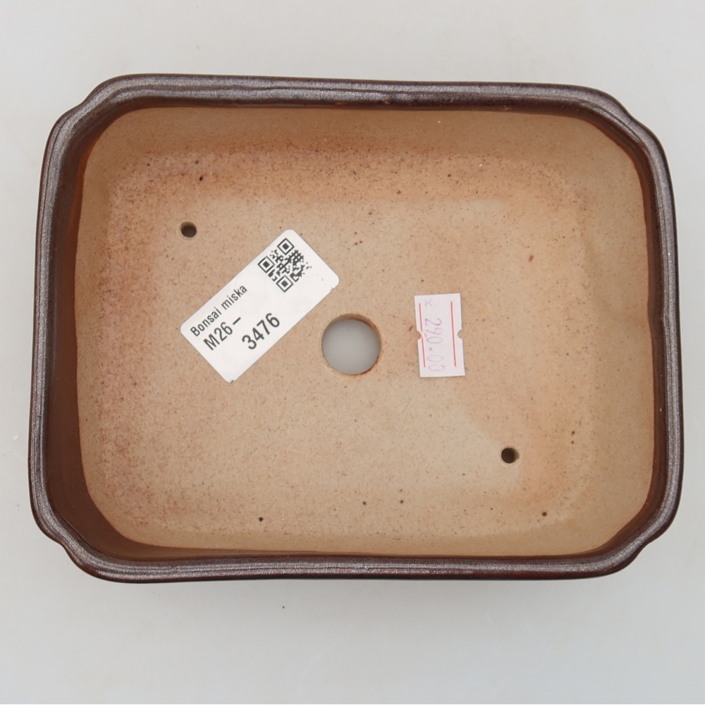 Ciotola per bonsai in ceramica 15 x 12,5 x 4,5 cm, marrone