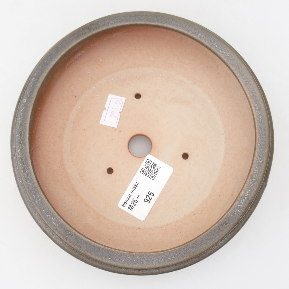 Ciotola bonsai in ceramica 16 x 16 x 4,5 cm, verde-grigio