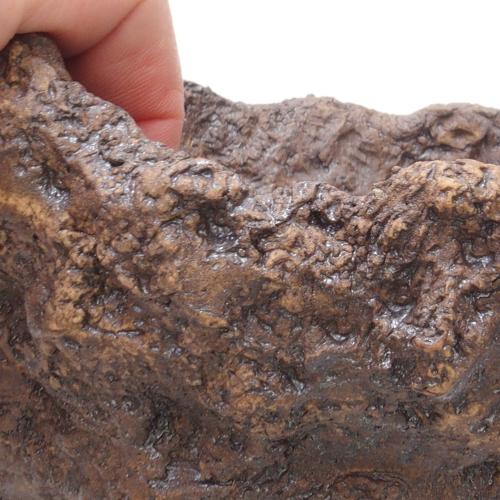 Conchiglia in ceramica 18 x 17 x 17,5 cm , colore marrone