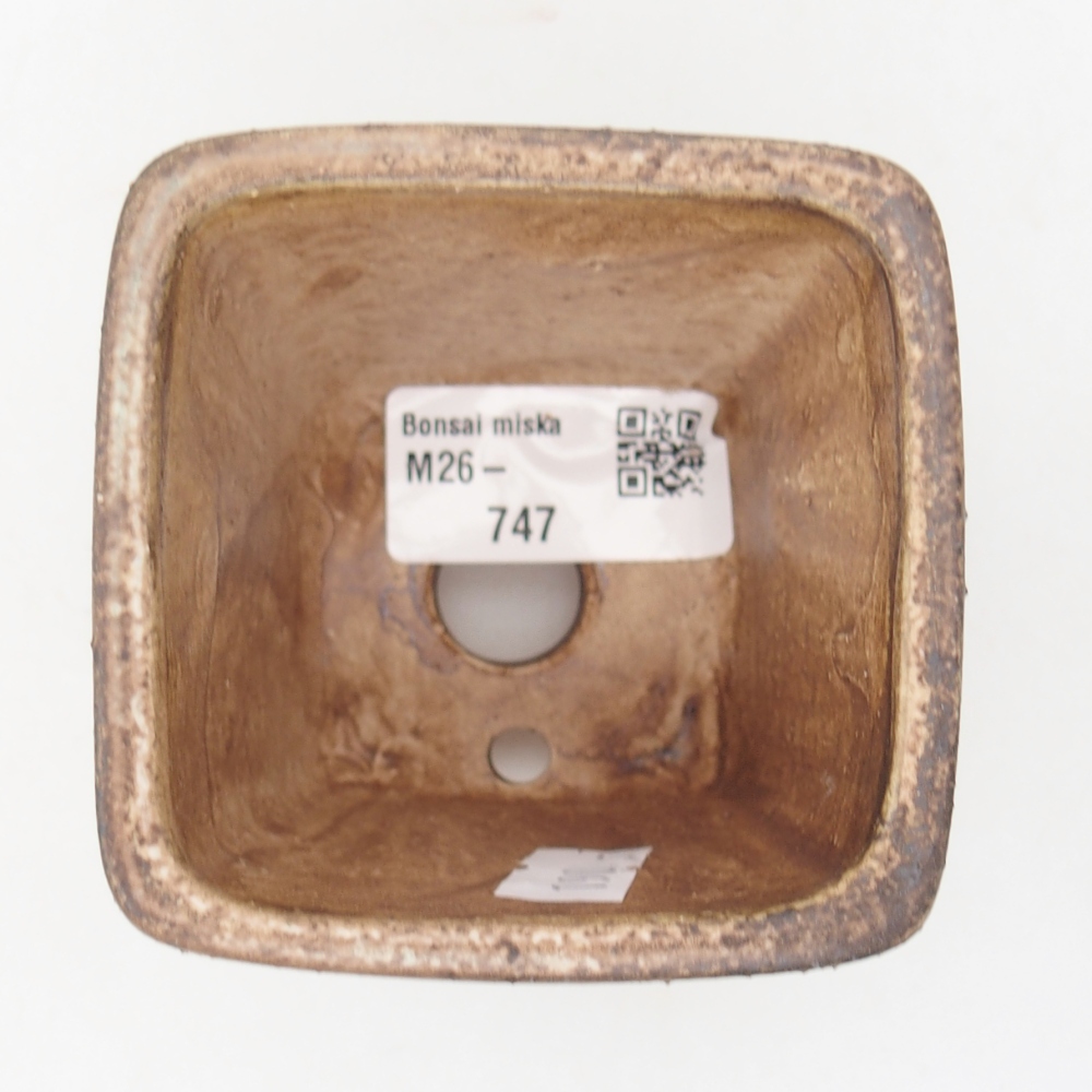 Ciotola per bonsai in ceramica 7,5 x 7,5 x 7,5 cm, verde