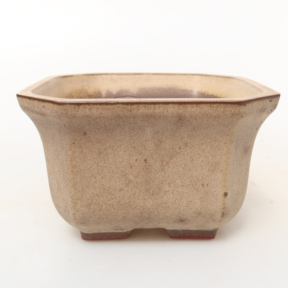 Guscio in ceramica  11,5 x 11,5 x 7 cm, colore beige