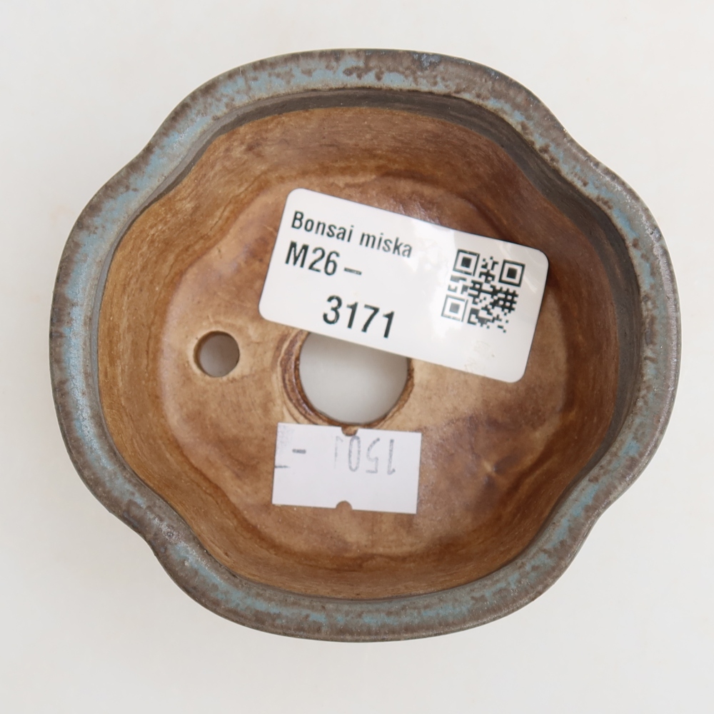 Vaso in ceramica per bonsai 8 x 7,5 x 3,5 cm, colore blu