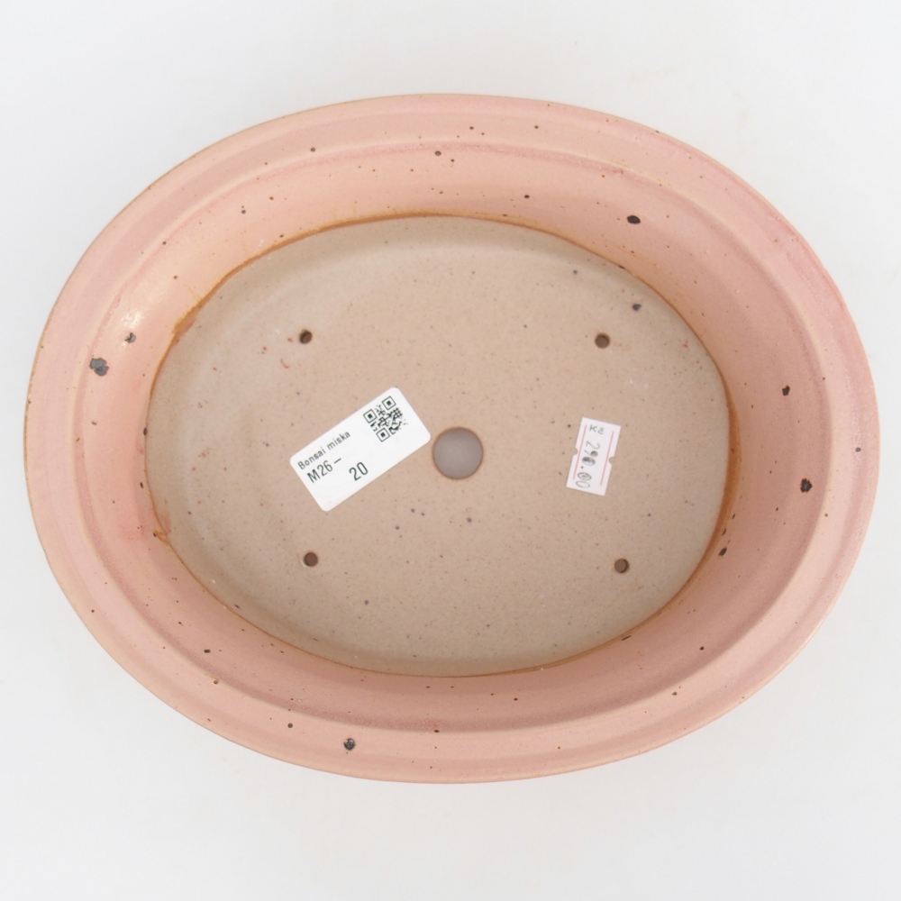 Ciotola bonsai in ceramica 22,5 x 18,5 x 7 cm, rosa