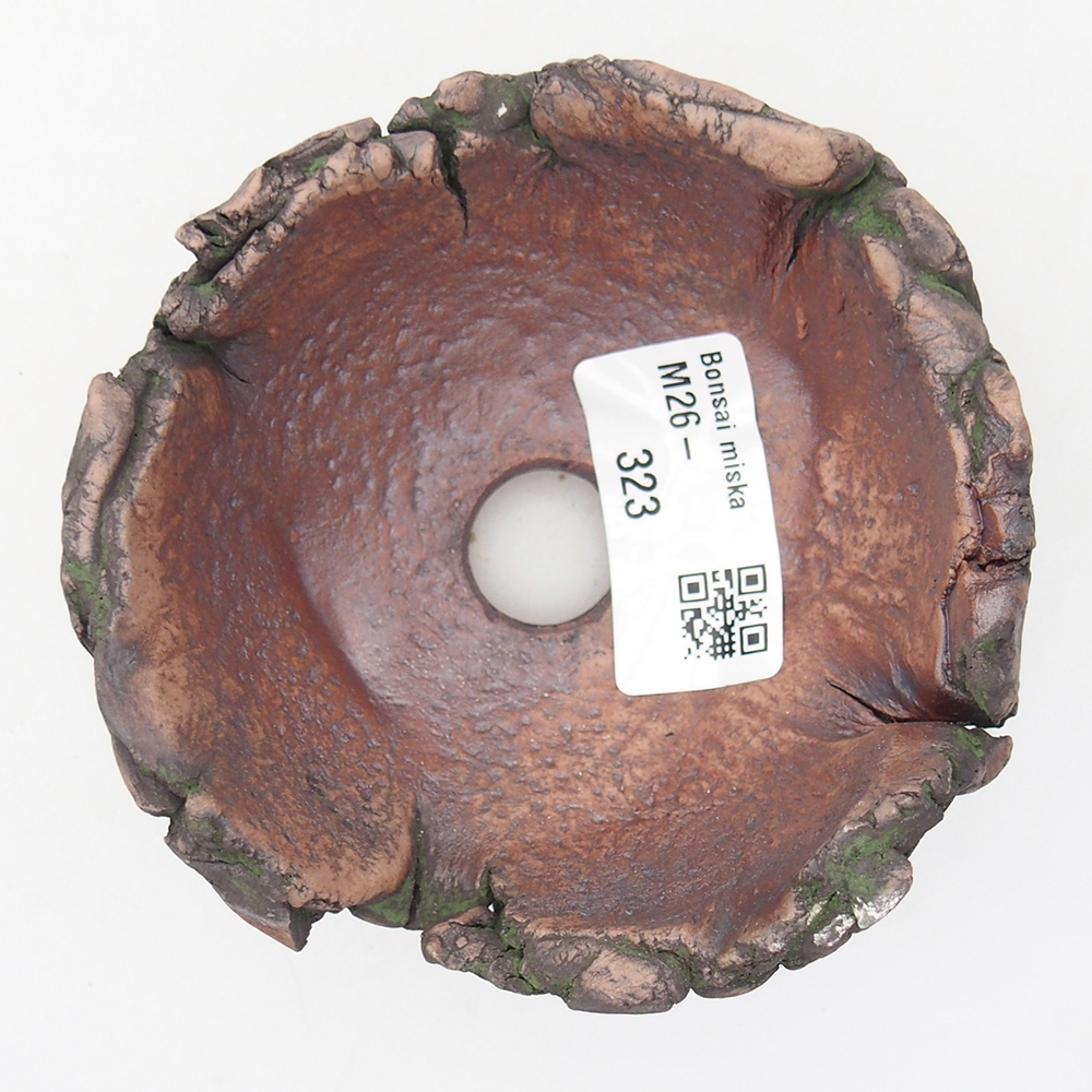 Conchiglia in ceramica 9,5 x 9,5 x 6 cm , colore verde