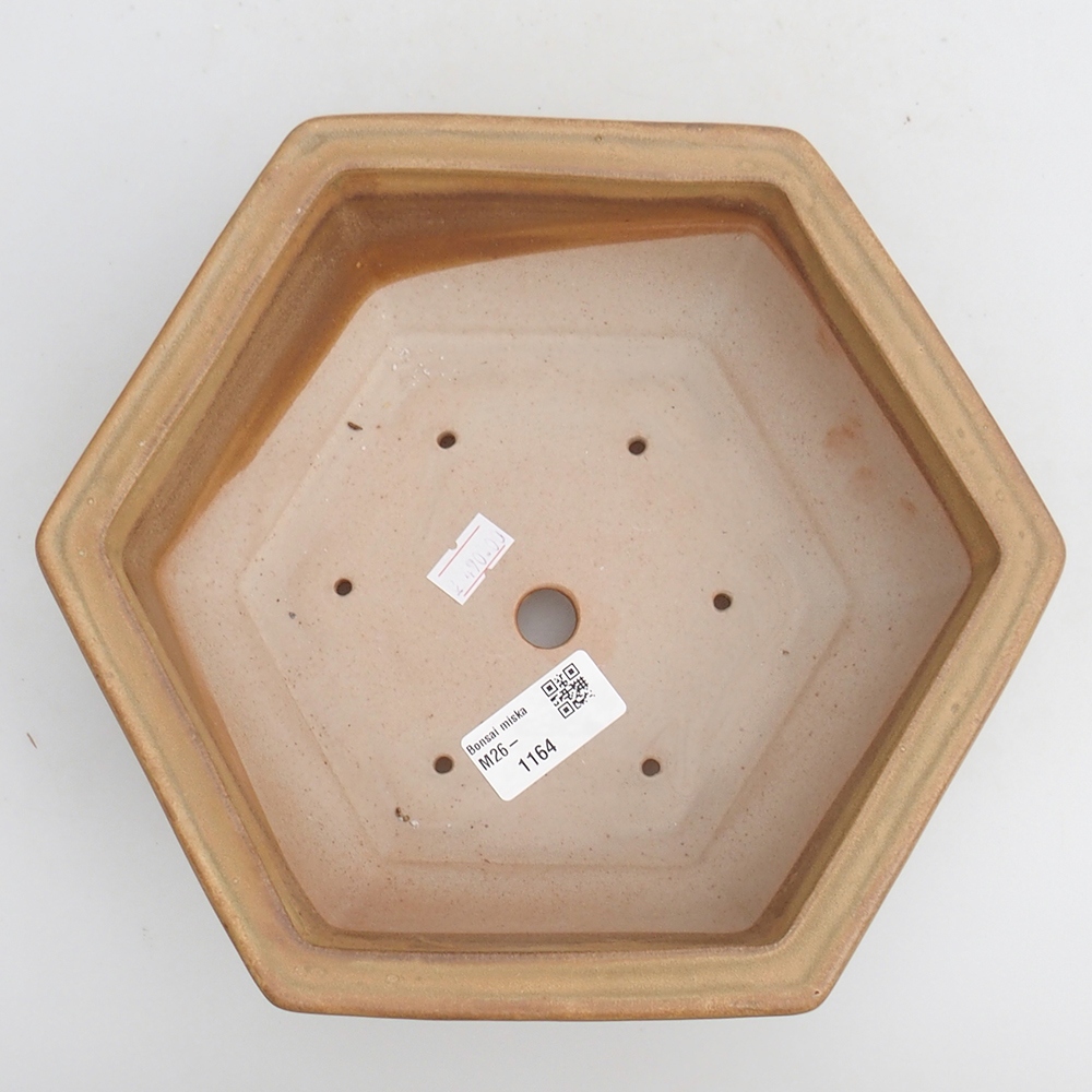 Ciotola bonsai in ceramica 23 x 21 x 7,5 cm, colore beige