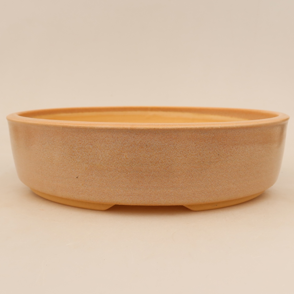 Vaso da bonsai in ceramica 26 x 26 x 6,5 cm, colore beige