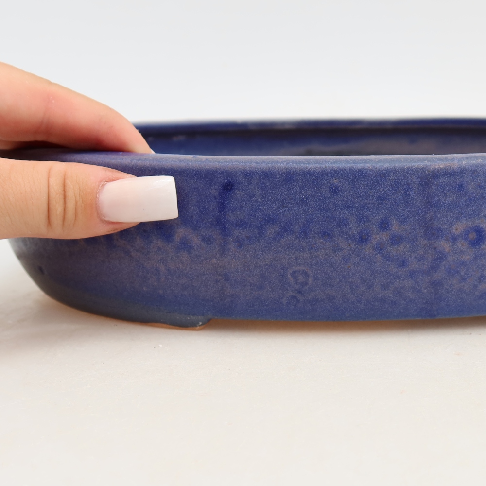 Vaso da bonsai in ceramica 27 x 21 x 5,5 cm, colore blu