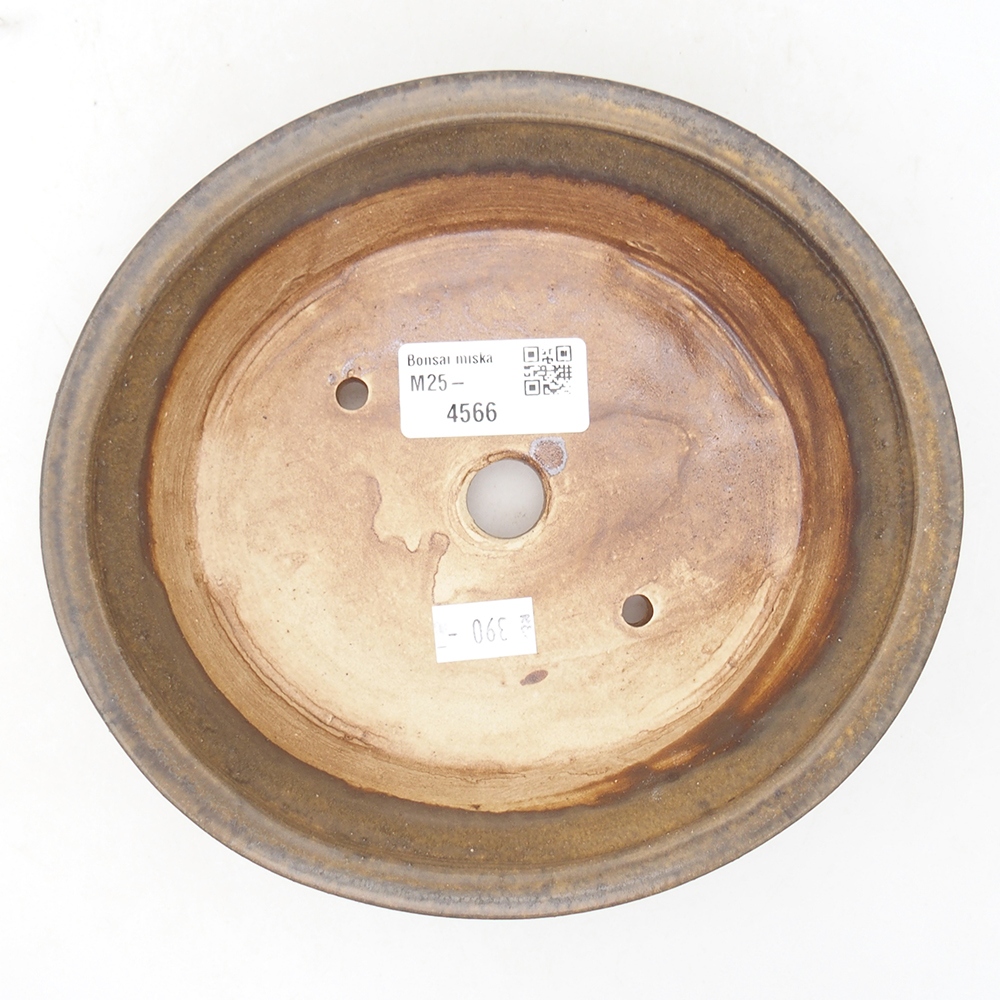 Ciotola per bonsai in ceramica 18 x 16 x 4,5 cm, marrone