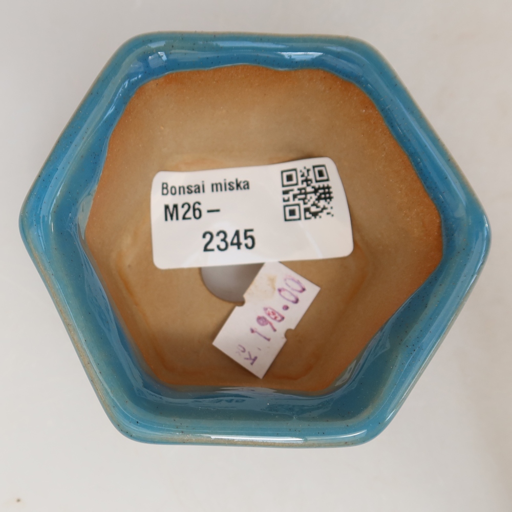 Ciotola per bonsai in ceramica 7,5 x 7 x 4 cm, colore blu