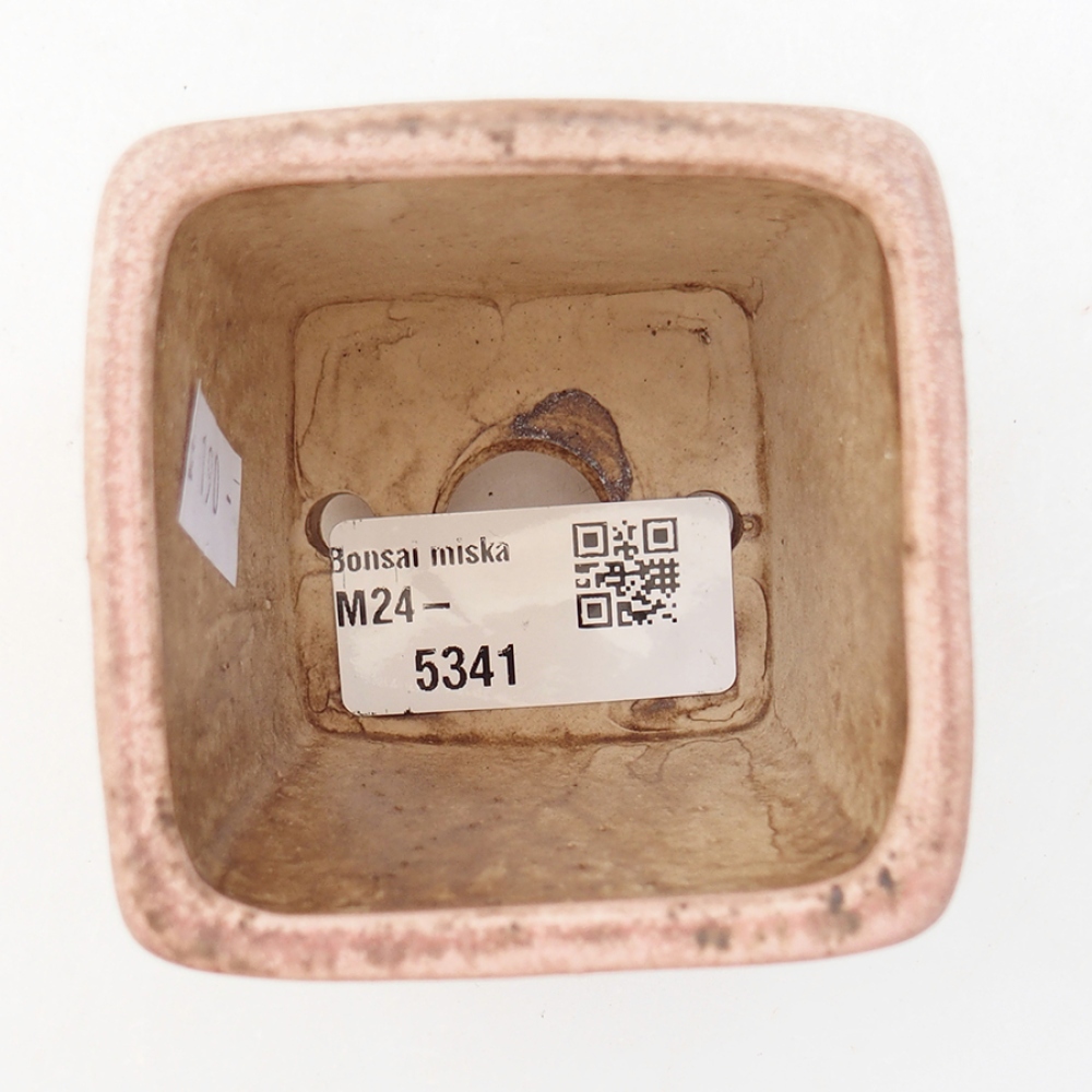 Ciotola bonsai in ceramica 6,5 x 6,5 x 7 cm, rosa