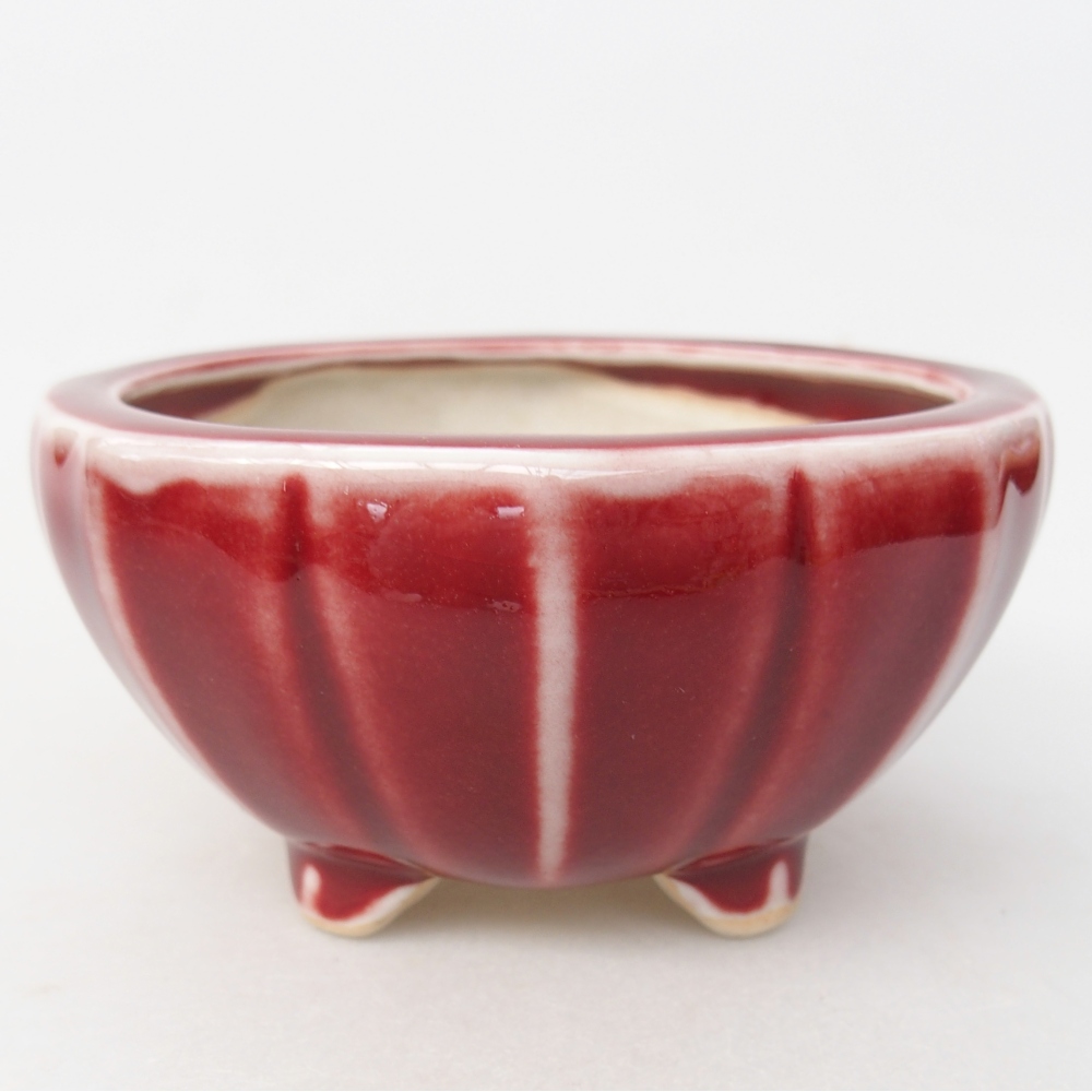 Ciotola per bonsai in ceramica 11 x 11 x 5,5 cm, colore rosso