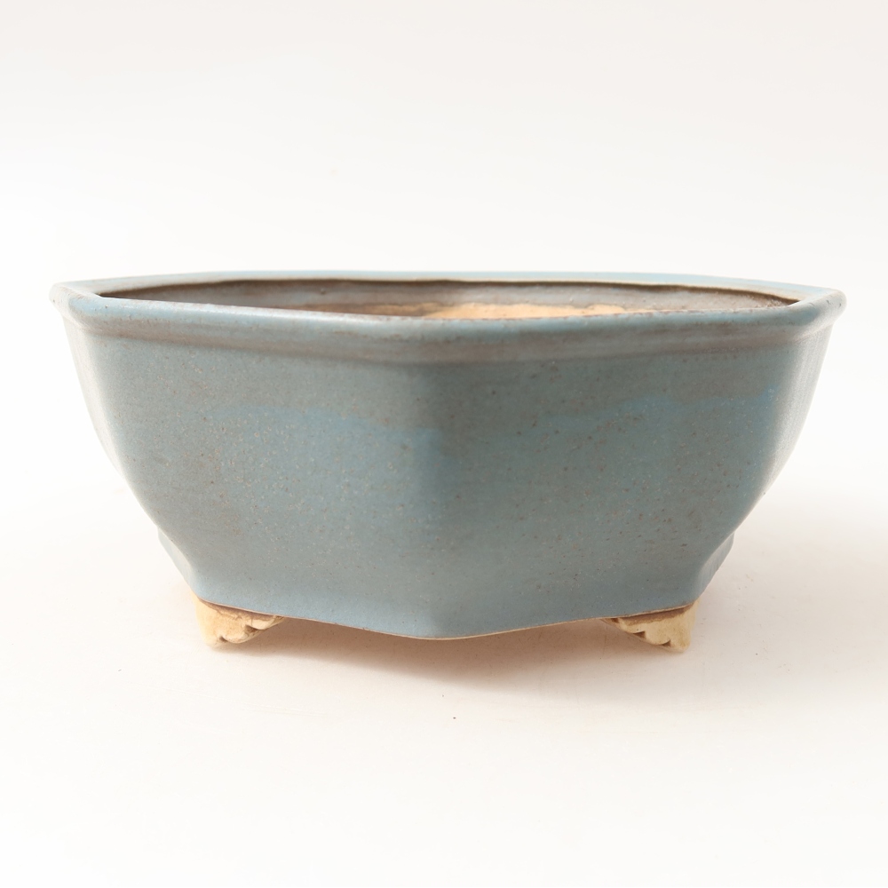 Vaso da bonsai in ceramica 17 x 16 x 6,5 cm, colore blu