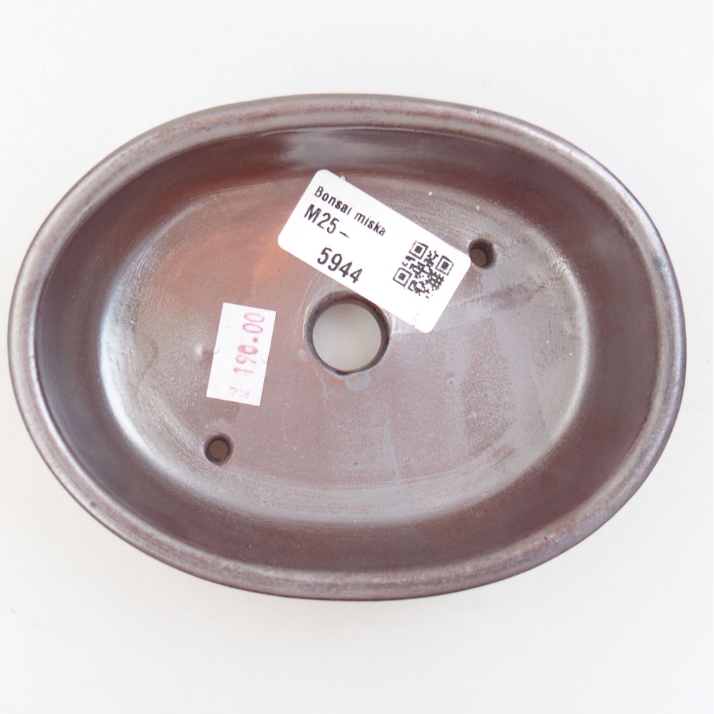 Ciotola bonsai in ceramica 22 x 17 x 5 cm, verde