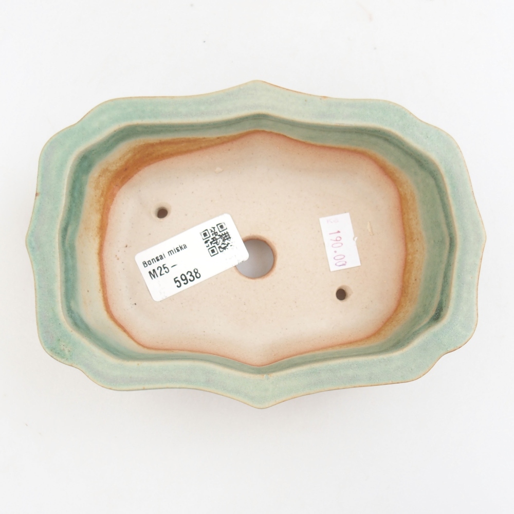Ciotola bonsai in ceramica 22 x 17 x 5 cm, verde